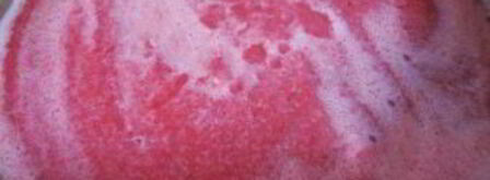 лечо пальчики оближешь. Шаг 4