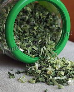 Лук-порей на зиму