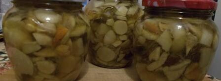 белые грибы маринованные. Шаг 11