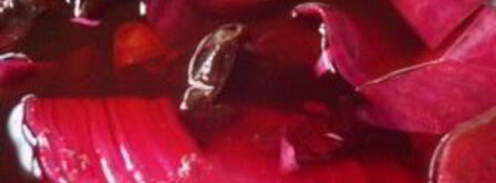 капуста по-грузински со свеклой. Шаг 10