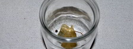 маринованная морковь на зиму. Шаг 4