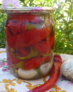 Маринованный горький перец