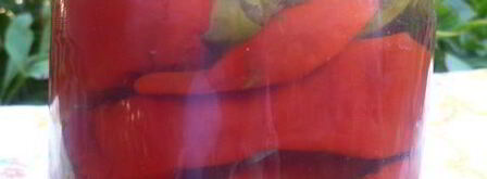 маринованный горький перец. Шаг 8