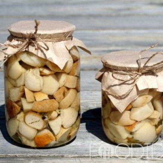 Рецепт маринованных белых грибов