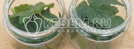 маринованные лимоны с листьями смородины. Шаг 4