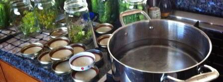 маринованные огурцы хрустящие на зиму. Шаг 6