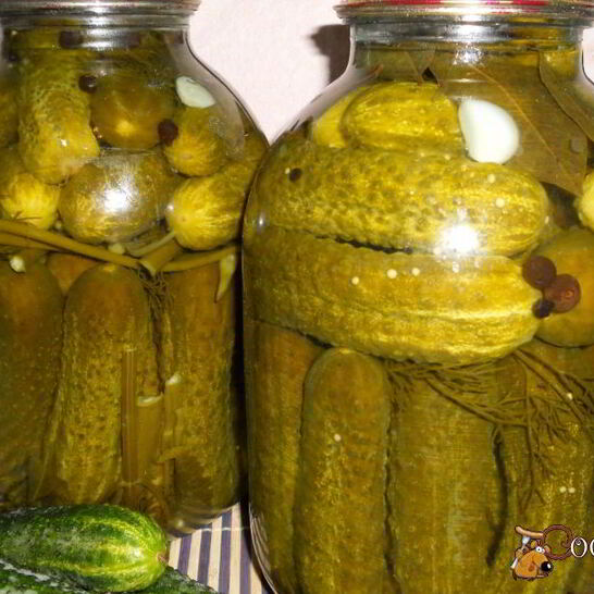 Рецепт маринованных огурцов с семенами горчицы