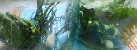 маринованные огурцы с семенами горчицы. Шаг 3