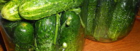 маринованные огурцы с семенами горчицы. Шаг 4