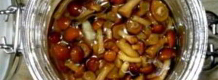 маринованные опята без закатки. Шаг 5