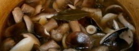 маринованные подберезовики на зиму. Шаг 3