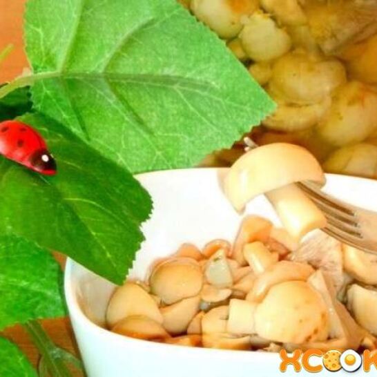 Рецепт маринованных сыроежек