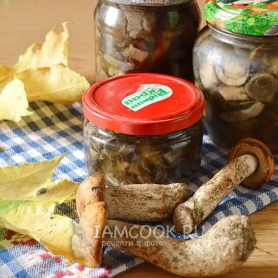 Рецепт подосиновиков маринованных на зиму без стерилизации