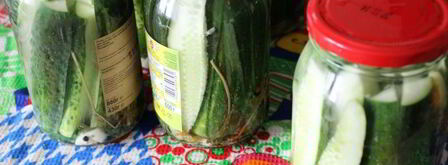 закусочные маринованные огурцы. Шаг 4