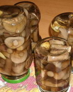 Подберезовики на зиму