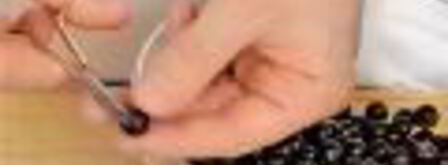 протертые ягоды. Шаг 4