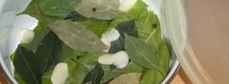 малосольные огурцы к обеду. Шаг 5