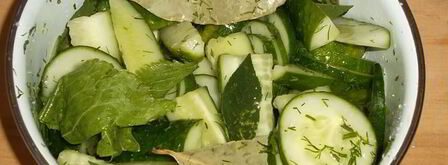 малосольные огурцы к обеду. Шаг 9