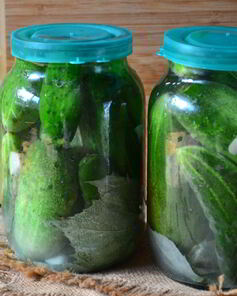 Малосольные огурцы хрустящие