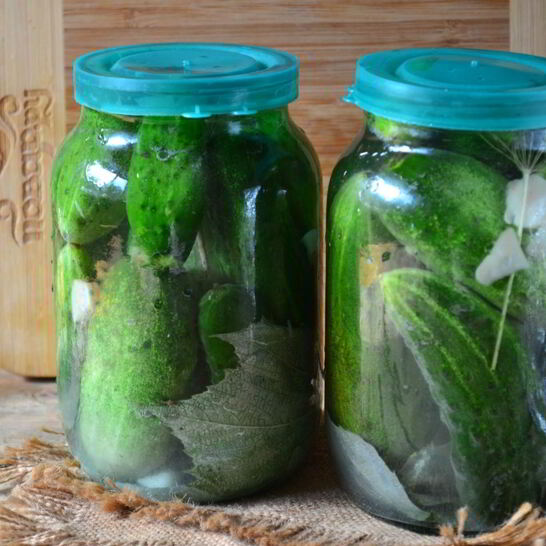 Рецепт малосольных огурцов хрустящих