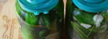 малосольные огурцы хрустящие. Шаг 5