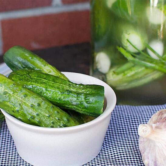 Рецепт малосольных огурцов с горчицей