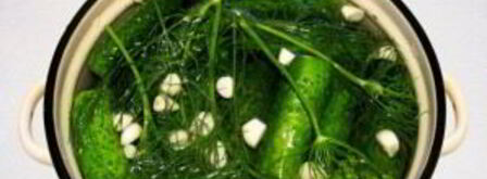 малосольные огурцы в кастрюле. Шаг 4