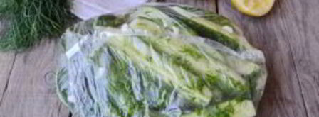 малосольные огурцы за 2 часа. Шаг 5