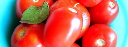 малосольные помидоры суточные. Шаг 5