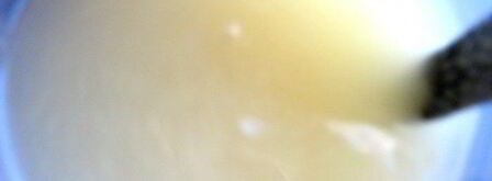 малосольные помидоры суточные. Шаг 10