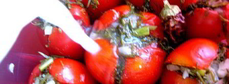 малосольные помидоры суточные. Шаг 11