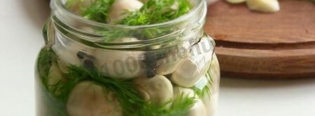 малосольные шампиньоны. Шаг 6