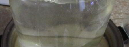 сало в рассоле. Шаг 7