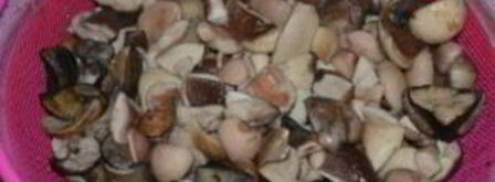 соленые белые грибы. Шаг 5