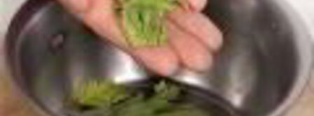 соленые помидоры черри. Шаг 4