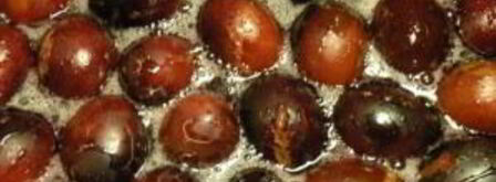 сливовое варенье с косточками. Шаг 3