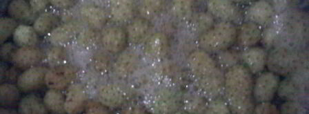 варенье из белой шелковицы. Шаг 6