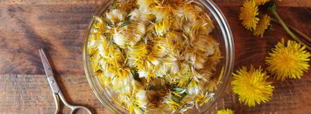 варенье из одуванчиков. Шаг 3