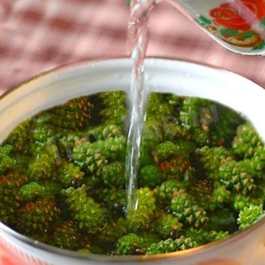 Рецепт варенья из сосны