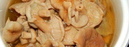 волнушки соленые на зиму. Шаг 5