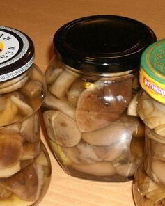 Закатка грибов на зиму