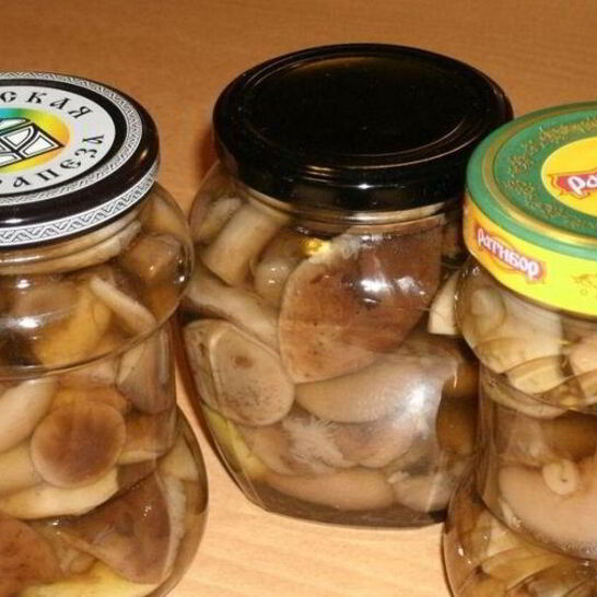 Рецепт закатки грибов на зиму
