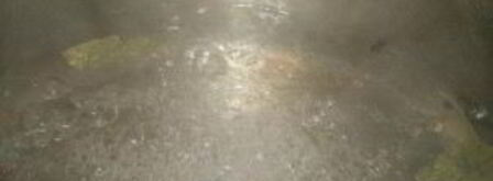 закатка грибов на зиму. Шаг 5