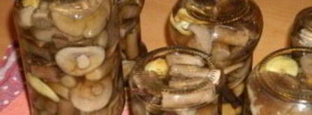 закатка грибов на зиму. Шаг 7