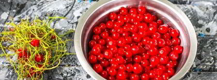 заморозка красной смородины на зиму. Шаг 6