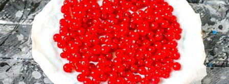 заморозка красной смородины на зиму. Шаг 8