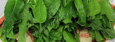 засолка щавеля на зиму. Шаг 4