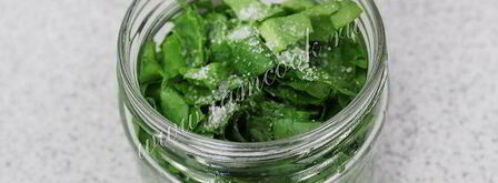 засолка щавеля на зиму. Шаг 6