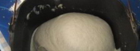 тесто для беляшей в хлебопечке мулинекс. Шаг 3