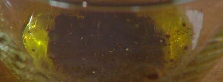 брускетта с чечевицей, фетой и цукини. Шаг 6